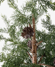 Load image into Gallery viewer, French Country Collections Cedar Evergreen Christmas Tree 140cm
