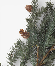 Load image into Gallery viewer, French Country Collections Pinecone Light Up Branch 40cm
