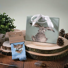 Load image into Gallery viewer, Wrendale Designs "Daisy Coo" Highland Cow Socks
