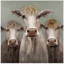 Load image into Gallery viewer, Rembrandt Bad Hair Day- 3 Cows Canvas
