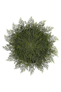 Flower Systems Cedar Round Placemats 46cm
