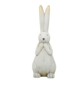 Rembrandt Rabbit with Long Ears Large