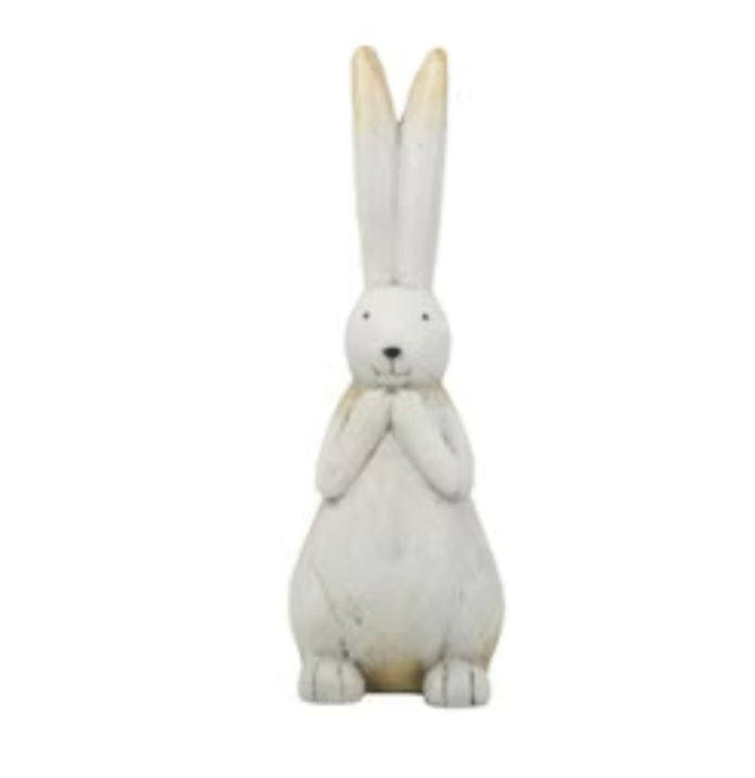 Rembrandt Rabbit with Long Ears Large