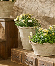 Load image into Gallery viewer, French Country Collections Wavy Planter Vase
