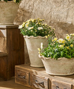 French Country Collections Wavy Planter Vase