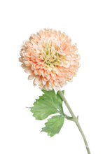 Load image into Gallery viewer, Flower Systems Zinnia Spray Peach 46cm
