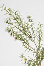 Load image into Gallery viewer, Flower Systems Wax Flower Spray 58cm Cream
