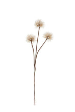 Load image into Gallery viewer, Flower Systems Dandelion Spray Natural/Brown 76cm
