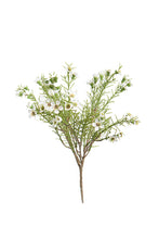 Load image into Gallery viewer, Flower Systems Alba Wax Flower Bush White 35cm
