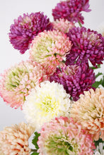 Load image into Gallery viewer, Flower Systems Zinnia Spray Peach 46cm
