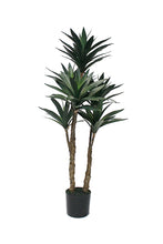 Load image into Gallery viewer, Flower Systems Dracaena Potted 91cm
