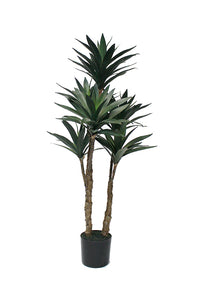 Flower Systems Dracaena Potted 91cm
