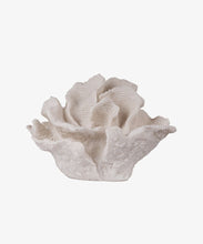 Load image into Gallery viewer, French Country Collections Coral Decorative Light Up
