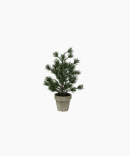 Load image into Gallery viewer, French Country Collections Table Pine Tree X-Small

