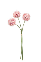 Load image into Gallery viewer, Flower Systems Mum Ball Bundle Dusky Pink 43cm
