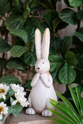 Rembrandt Rabbit with Long Ears Small