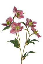 Load image into Gallery viewer, Flower Systems Hellebore Spray 47cm Mauve
