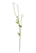 Load image into Gallery viewer, Flower Systems Pompom Sp x4 White 59cm
