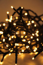 Load image into Gallery viewer, Flower Systems 288 LED Fairy Lights Warm White 7.2m
