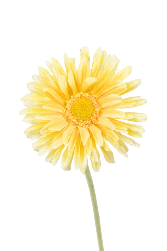Flower Systems Single Mini Gerbera Yellow