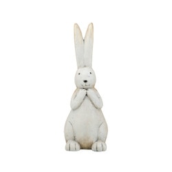 Rembrandt Rabbit with Long Ears Small