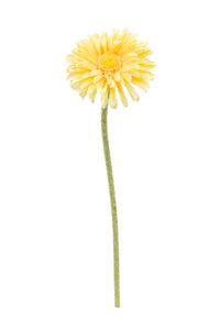 Flower Systems Single Mini Gerbera Yellow