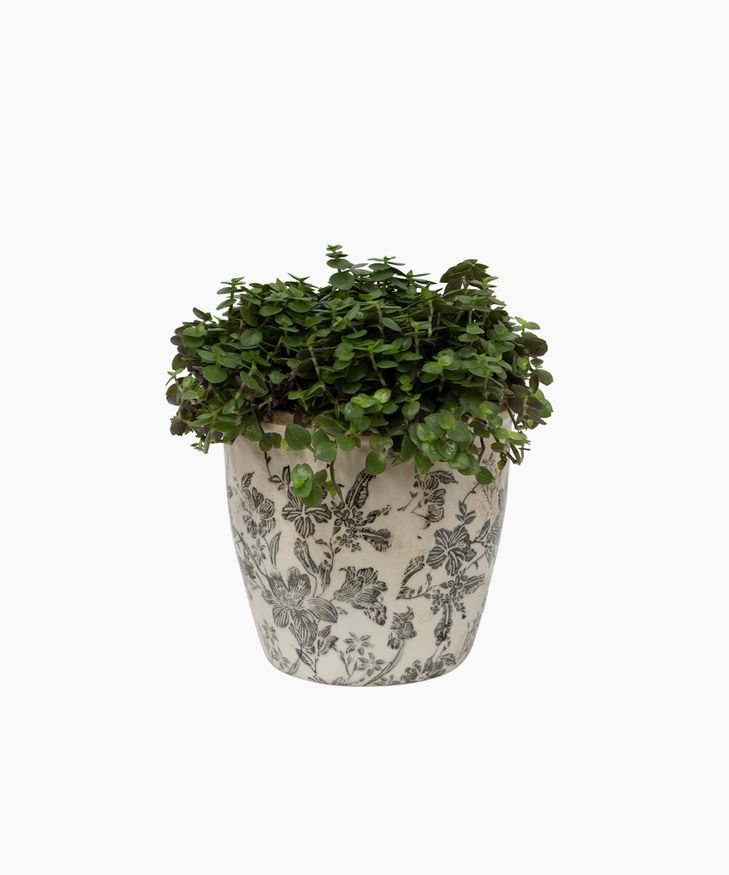 French Country Collections Black Floral Pot Large