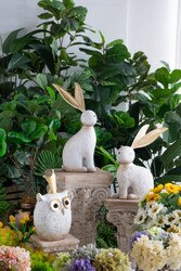 Rembrandt Rabbit with Gold Ears Tall