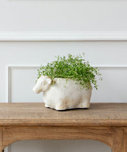 Load image into Gallery viewer, French Country Collections Sheep Flower Pot
