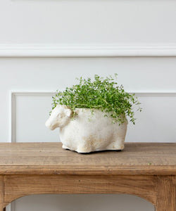 French Country Collections Sheep Flower Pot