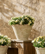 Load image into Gallery viewer, French Country Collections Wavy Planter Pot Large
