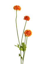 Load image into Gallery viewer, Flower Systems Pompom Sp x4 Orange 59cm
