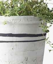 Load image into Gallery viewer, French Country Collections Lisbon Herb Pot Large
