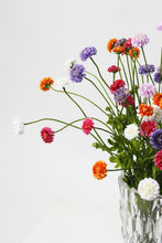 Load image into Gallery viewer, Flower Systems Pompom Sp 4x Beauty 59cm
