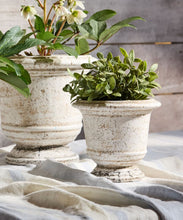 Load image into Gallery viewer, French Country Collections Urn Planter Rustic White Small
