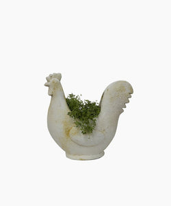French Country Collections Chook Flower Pot
