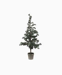 French Country Collections Pine Tree Dusty Medium