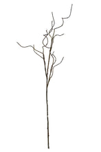 Load image into Gallery viewer, Flower Systems Curly Willow Branch 1.3m
