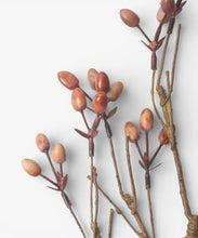 Load image into Gallery viewer, French Country Collections Burnished Berries Branch 85cm
