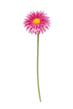 Load image into Gallery viewer, Flower Systems Single Mini Gerbera Pink

