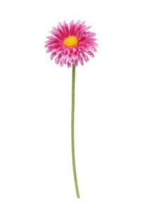 Flower Systems Single Mini Gerbera Pink