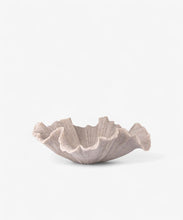 Load image into Gallery viewer, French Country Collections Shell Bowl Ribbed
