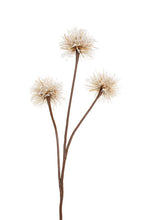 Load image into Gallery viewer, Flower Systems Dandelion Spray Natural/Brown 76cm
