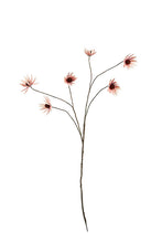 Load image into Gallery viewer, Flower Systems Rudbeckia Spray Dusky Pink 114cm
