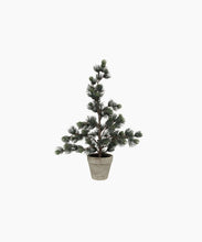 Load image into Gallery viewer, French Country Collections Pine Tree Dusty Small

