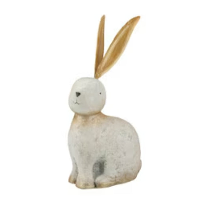 Rembrandt Rabbit with Gold Ears Short
