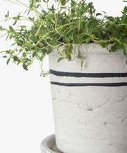 Load image into Gallery viewer, French Country Collections Lisbon Herb Pot Medium
