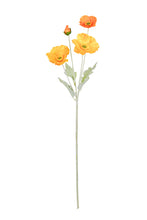Load image into Gallery viewer, Flower Systems Iceland Poppy Spray 62cm- Light Orange

