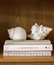 Load image into Gallery viewer, French Country Collections Snail Shell Decorative Light Up
