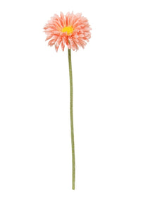 Flower Systems Single Mini Gerbera Peach